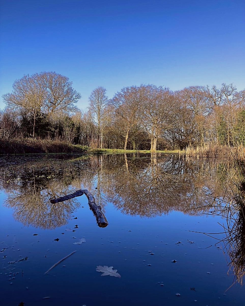Hampstead Heath autumn sky reflection.